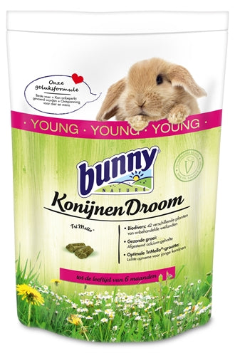 Bunny Nature Kaninchen Natur Kaninchen Traum Jung