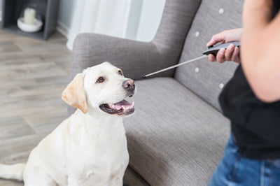 Trixie Hund Aktivität Zielstock Zeiger Sortiert 14-65 CM