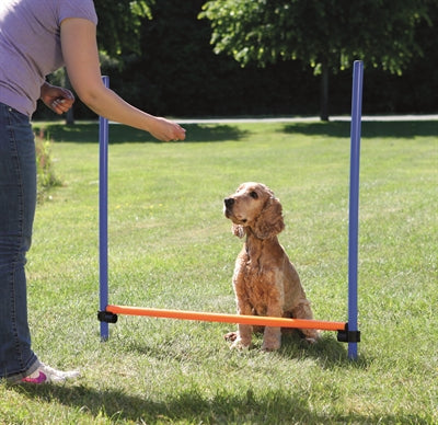 Trixie-Hund Aktivität Agility-Horde Blau / Orange 123X115X3 CM