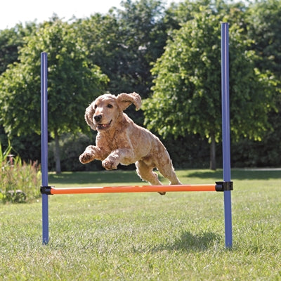 Trixie-Hund Aktivität Agility-Horde Blau / Orange 123X115X3 CM