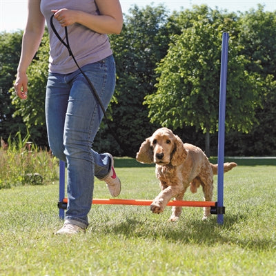 Trixie-Hund Aktivität Agility-Horde Blau / Orange 123X115X3 CM