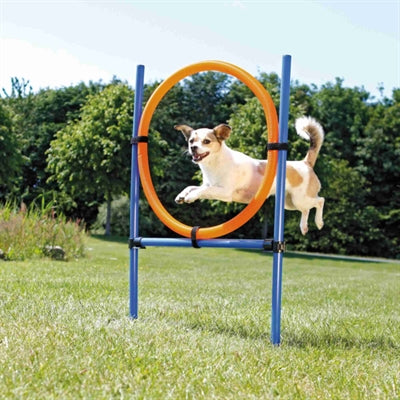 Trixie Hund Aktivität Agility-Ring Blau / Orange 65X3X115 CM