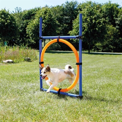 Trixie Hund Aktivität Agility-Ring Blau / Orange 65X3X115 CM