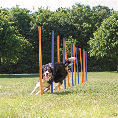 Trixie Hund Aktivität Agility Slalom Stöcke Blau / Orange 115X3 CM 12 ST