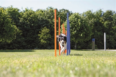 Trixie Hund Aktivität Agility Slalom Stöcke Blau / Orange 115X3 CM 12 ST