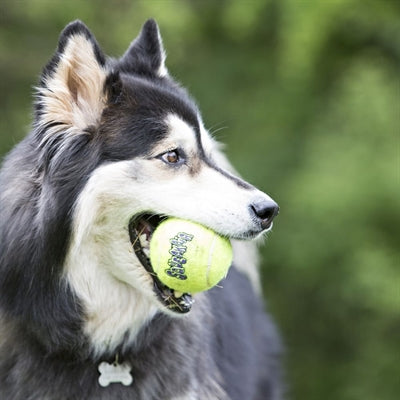 Kong Squeakair Tennisball Gelb Mit Piep