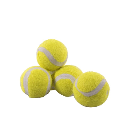 Rosewood Palisander-Jolly-Doggy-Tennisball Mini 5 ST