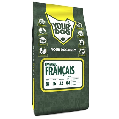 Yourdog Epagneul Français Welpe