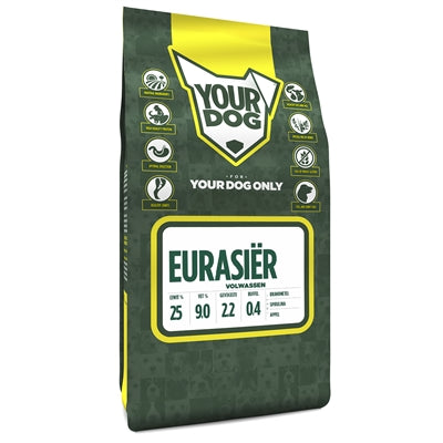 Yourdog Eurasischer Erwachsener