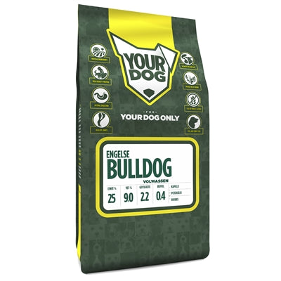 Yourdog Englische Bulldogge Erwachsene