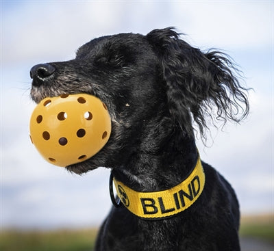 Trixie Aus Naturkautschuk Mit Glocke Für Blinde Oder Behinderte Hunde 7X7X7 CM