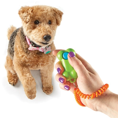 Brightkins Smarty Pooch Training Klicker Knochen