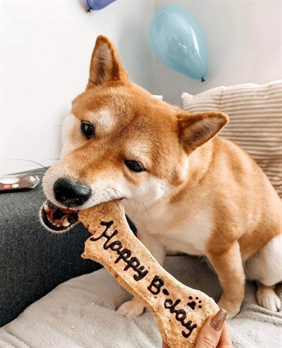 Hov-Hov Glückwunsch Zum Geburtstag Knochen