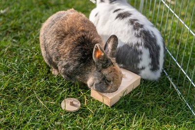 Trixie Für Ratten Und Kaninchen Holz 14X3X7 CM