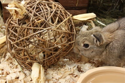 Nature First Glückliche Mütze Spielzeugweide Natürlich Zuerst