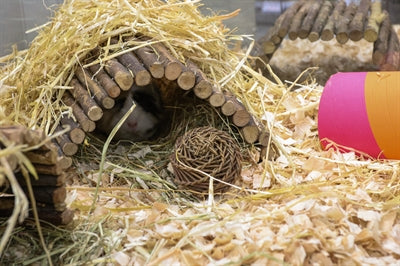 Nature First Glückliches Haustier Playstix Nagetierhaus