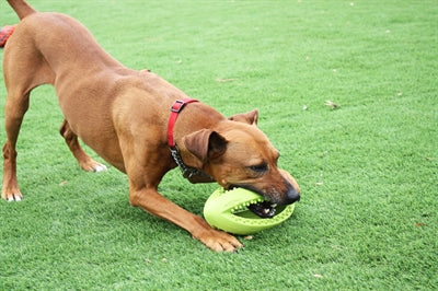 Happy Pet Grubber Interaktiver Rugby-Ball 26X13X13 CM