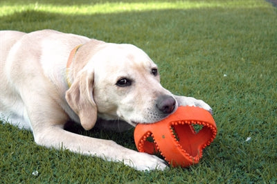 Happy Pet Interaktiver Fussball Orange 18X18X18 CM