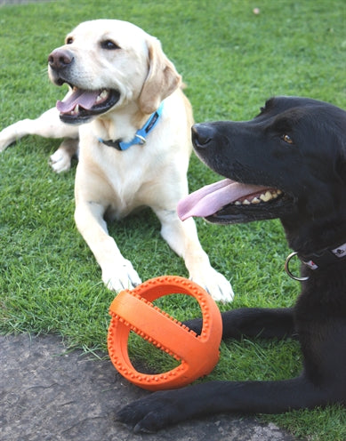 Happy Pet Interaktiver Fussball Orange 18X18X18 CM