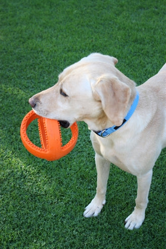 Happy Pet Interaktiver Fussball Orange 18X18X18 CM