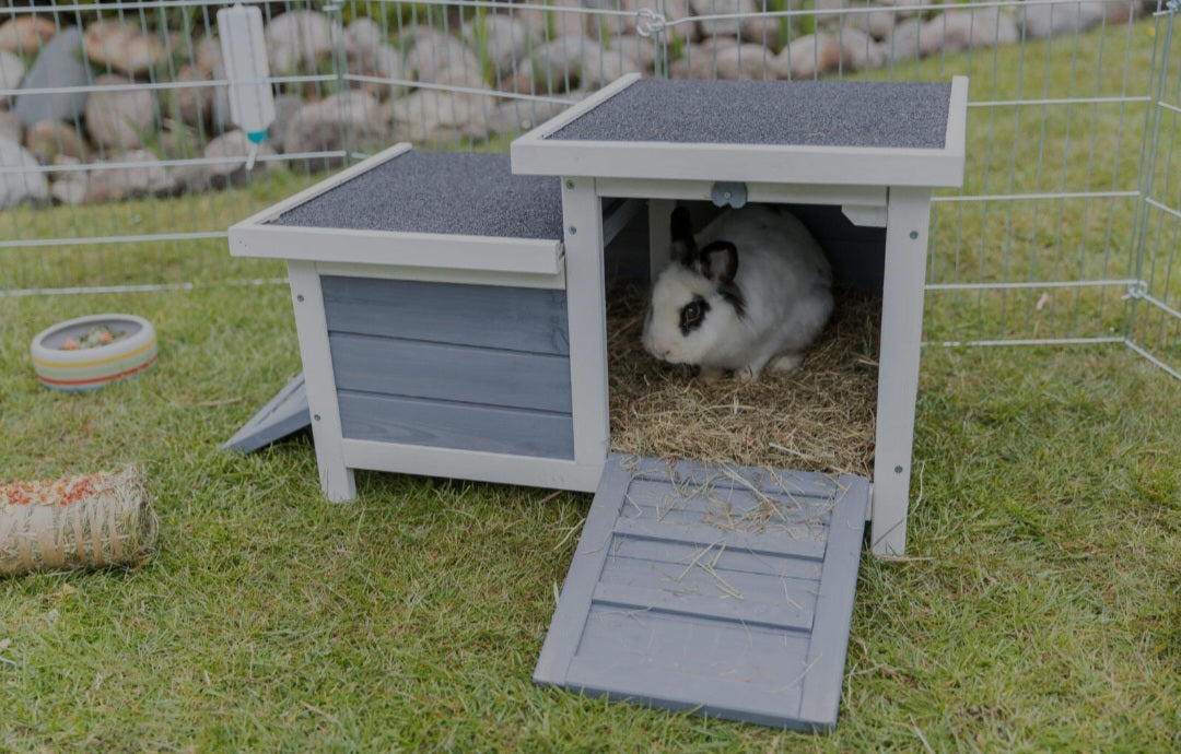 Trixie Rodent House With 2 Entrances Grey/White 70X45X43 CM